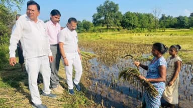 કપરાડા: કપરાડામાં કમોસમી વરસાદથી ખેડૂતોને ભારે નુકસાન, ધારાસભ્ય જીતુભાઇ ચૌધરીએ સહાય માટે મુખ્યમંત્રીને કરી રજુઆત