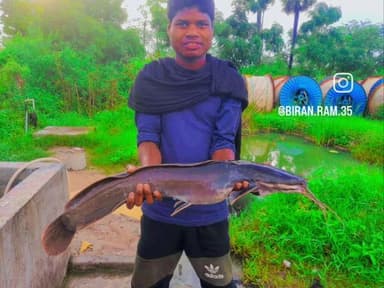 is ladke ko mungara machhali mila tha dekhiae kitna bada hai main machhali khane se cancer hota Hai