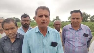 બાયડ: બાયડ, સાઠંબા તાલુકા પંથકમાં છેલ્લા 24 કલાકમાં 4 ઇંચ જેટલા કમોસમી વરસાદથી ખેડુતોની અવદશા