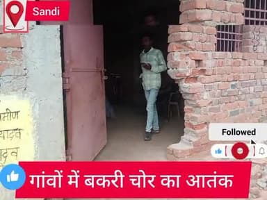 गांव गांव घूम रहे बकरी चोर गिरोह, बकरी पालन करने लगे सावधान