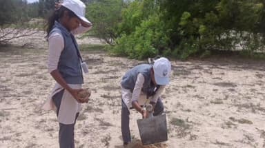 இராமேஸ்வரம்: நம்புநாயகி அம்மன் கோவில் அருகே பனை விதைகள் நடும் நிகழ்ச்சி