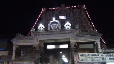 திருநெல்வேலி: டவுன் அருள்மிகு நெல்லையப்பர் திருக்கோவில் ஆறுமுக நயினார் சன்னதியில் திருக்கல்யாணம் திரளான பக்தர்கள் தரிசனம்.