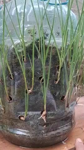 सेक्टर 54,53 चलता फिरता होटल