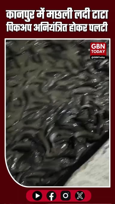 कानपुर में मछली लदी टाटा पिकअप अनियंत्रित होकर पलटी #KanpurBreaking #FishTruckAccident #Choubeypur #MariyaniVillage