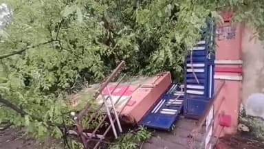 నరసాపురం: మొగల్తూరులోని నక్కవారిపాలెంలో ఇంటిపై కూలిన భారీ వృక్షం, పిల్లలతో ఇంట్లోనే ఉండిపోయిన కుటుంబం