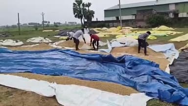 గోవిందరావుపేట: ములుగు జిల్లాలో మెంథా తుఫాన్ ప్రభావం.. అన్నదాత అవస్థలు..!