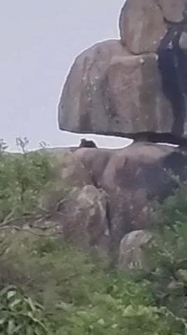 తూప్రాన్: గుండ్రేడిపల్లి శివారు అటవీ ప్రాంతంలో చిరుత సంచారం
అటవీశాఖ అధికారులు చర్యలు తీసుకోవాలి గ్రామస్తుల డిమాండ్