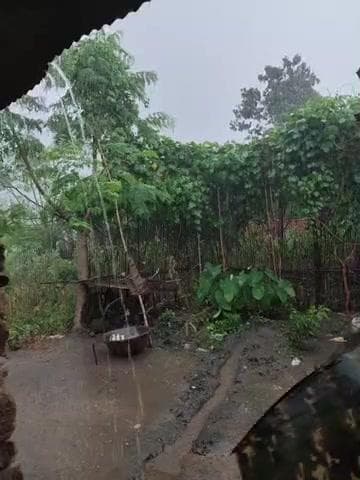 बे मौसम बे बारिश Jharkhand Manpur pihra me