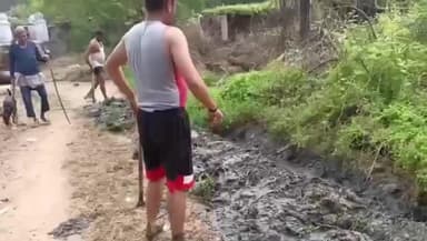 कालपी: कदौरा ब्लॉक के गोहना गांव में सफाईकर्मी नहीं आने से ग्रामीण फावड़ा लेकर खुद नालियां साफ करने को मजबूर, वीडियो वायरल