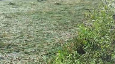 టెక్కలి: సంతబొమ్మాళిమండలం లో ముంపునీటిలో పంటలు..ఆందోళనల్లో రైతులు