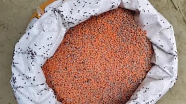 ইটাহার: ডালে ঘুরে বেরাচ্ছে পোকা, নিম্নমানের খাবার দেওয়ার অভিযোগে বিক্ষোভে চাঞ্চল্য ছড়াল ইটাহারের কাশিবাড়ি অঙ্গণওয়াড়ি সেন্টারে