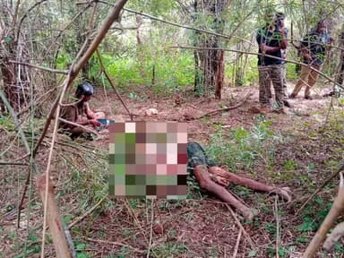 ಹಾರೋಹಳ್ಳಿ: ಒಂಟಿ ಸಲಗ ದಾಳಿ ವ್ಯಕ್ತಿ ಸಾವು, ದೊಡ್ಡೂರು ಗ್ರಾಮದಲ್ಲಿ ಘಟನೆ