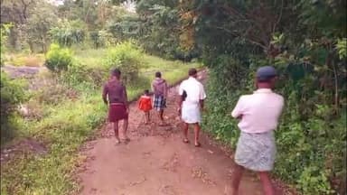 പീരുമേട്: വണ്ടൻമേട് മൈലാടുംപാറ കടുക്കാസിറ്റി മേഖലകൾ കരടി ഭീതിയിൽ #localissue