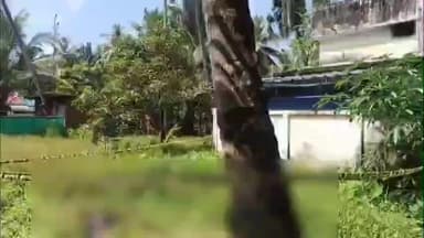 ചാവക്കാട്: ചേറ്റുവയിൽ പഴയ ടോൾ ബൂത്തിനടുത്ത് അജ്ഞാത പുരുഷന്റെ മൃതദേഹം കണ്ടെത്തി