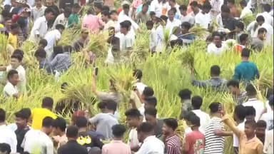 ওদালগুৰি: ওৰাঙৰ বৰঝাৰত গোপাষ্টমী আৰু ৰাসমেলা উৎসৱ,প্ৰথম দিনাই আশ্ৰমখনত থকা ধাননী পথাৰত ধান খোৱা অনুষ্ঠানত এমচিএলএ শ্যাম চুন্ডী