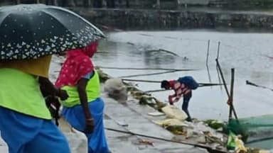 नगड़ी: रांची: नगर निगम द्वारा बड़ा तालाब सहित सभी प्रमुख जलाशयों और छठ घाटों की सफाई जारी