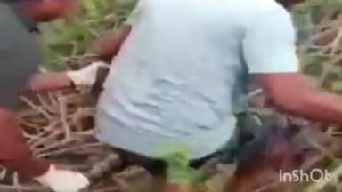 सिंदेवाही: लोणखैरी गावातील कपडे धुणार्या बायांना तलावाजवळ दिसला मोठा अजगर साप .स्वाब संस्थेच्या पथकाने अजगराला पकडून दिले जिवणदान