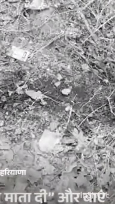 गुरुग्राम: गुरुग्राम में युवक की हत्या, पहचान छिपाने को कुचला चेहरा, झाड़ियों में फेंका शव, कलाई पर थे ओम और जय माता दी