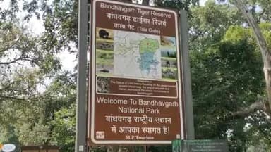 मानपुर: राष्ट्रीय बाघ आंकलन 2026: डेटा संग्रह कार्य 1 दिसंबर 2025 से 25 जनवरी 2026 तक 4 चरणों में आयोजित किया जाएगा