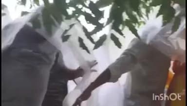 परैया: परैया में मोथा चक्रवात की बारिश के बीच पूजा समिति द्वारा सूर्य प्रतिमा का विसर्जन किया गया