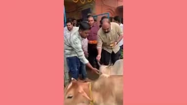 ଭଦ୍ରକ ଗ୍ରାମାଞ୍ଚଳ: ଭଦ୍ରକ ବାଇପାସ ଗୋପାଳଜୀଉ ଗୋଶାଳା ରେ ଗୋଷ୍ଟାଷ୍ଟମୀ ଅବସରରେ ଗୋମାତା ଙ୍କୁ ପୂଜାର୍ଚନା କଲେ ଭଦ୍ରକ ବିଧାୟକ ସୀତାଂଶୁ ଶେଖର ମହାପାତ୍ର