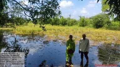 વલસાડ: જિલ્લામાં કમોસમી વરસાદથી ડાંગર પાકની નુકસાની માટે ૧૬ ટીમ દ્વારા સર્વે હાથ ધરાયો