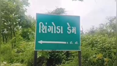 ગીર ગઢડા: ગીરગઢડાનો શીંગોડા ડેમ થયો ઓવરફલો ડેમના 4 દરવાજા 0.30 મીટર ખોલવામા આવ્યા નીચાણવાડા 12 ગામોને એલર્ટ કરાયા