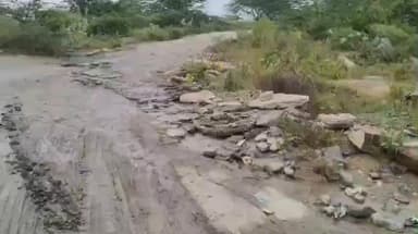 मारवाड़ जंक्शन: #jansamsaya मारवाड़ जंक्शन एकमात्र बाईपास सड़क पर जगह-जगह पड़े खड्डे नगर वासियों ने सड़क मरम्मत की उठाई मांग