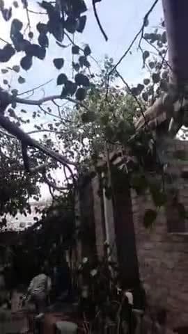 ಗದಗ: ನಗರದಲ್ಲಿ ಭಾರಿ ಗಾಳಿಗೆ ಧರೆಗುರುಳಿದ ಆಲದ ಮರ, ಎರಡು ಮನೆಗಳಿಗೆ ಹಾನಿ