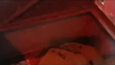 बकानी: मोतीपुरा हनुमान मंदिर से बीती रात हुई दानपेटी चोरी, थाने में दर्ज कराई गई शिकायत