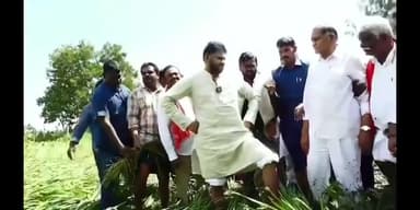 అవనిగడ్డ: కృష్ణాపురం లో నీట మునిగిన పంట పొలాలు పరిశీలించిన పవన్ కళ్యాణ్