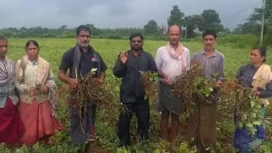 పాతపట్నం: మొంథా తుఫాను కారణంగా కర్లెమ్మ రెవెన్యూ గ్రామంలో నష్టపోయిన రైతాంగాన్ని ఆదుకోండి: సిపిఎం జిల్ల కమిటీ సభ్యులు సిర్ల ప్రసాద్