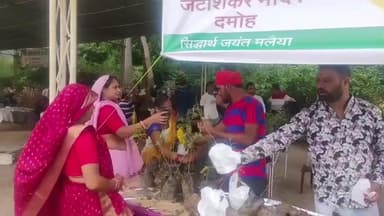 दमोह: मिशन ग्रीन दमोह टीम ने आवरी नवमी पर जटाशंकर में 1000 पौधे मुफ्त बांटे