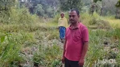 रमकंडा: रमकंडा प्रखंड के तेतरडीह गांव में हाथियों का उत्पात, किसानों की एक एकड़ धान की फसल को किया चट