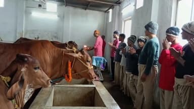 नगड़ी: पुंदाग स्थित श्री कृष्ण प्रणामी गौशाला में गोपाष्टमी पर्व धूमधाम से मनाया गया