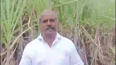 शिरोळ: ऊस उत्पादकांना किमान ४००० रुपये दर द्या; अन्यथा तोडणी थांबवा – धनाजी चुडमुंगे यांचे आवाहन