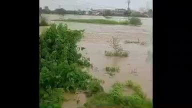 हदगाव: हदगावमध्ये ढगसदृश्य पाऊस. नदी नाल्यांना पूर नेरली गावामध्ये पूर परिस्थिती शेतकऱ्यांचे मोठे नुकसान