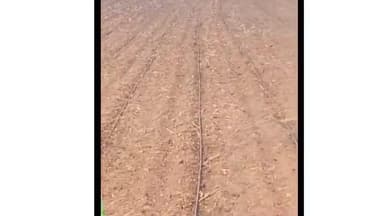 भीकनगांव: देजला देवड़ा बांध की नहरों में गाद से पानी पहुंचना मुश्किल, कमांड 9-10 में दिक्कत