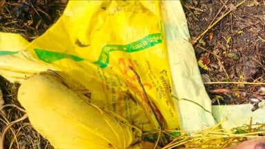 नाथूसरी चौपटा: गांव खेड़ी के पास खेड़ी माइनर में मिला महिला का अर्धनग्न शव, पुलिस ने शव को कब्जे में लेकर पहुंचाया अस्पताल