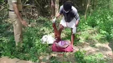 ഒറ്റപ്പാലം: കൂനത്തറയിലെ ക്വാറിയിൽ നിന്നും നവജാത ശിശുവിൻറെ മൃതദേഹവശിഷ്ടങ്ങൾ കണ്ടെത്തി