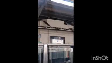 ઘાટલોડિયા: મેટ્રો સ્ટેશન પર કપિરાજના ટોળાએ આતંક મચાવ્યો, વિડીયો થયો વાયરલ