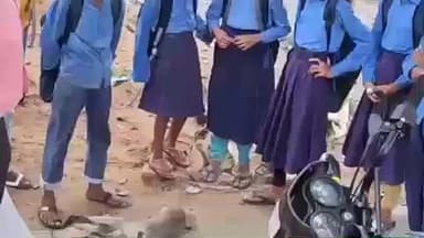 फुलवरिया: कोयलादेवा में करंट लगने से बंदर की मौत, पेड़ से कूदते वक़्त हुआ हादसा, ग्रामीणों ने दफनाया