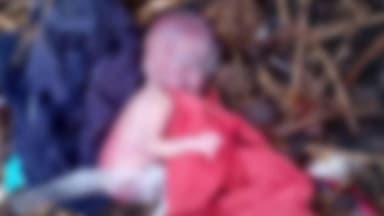 सिमरिया: ग्राम कोनी में मानवता शर्मसार, कचरे में मिला नवजात शिशु का शव, इलाके में सनसनी