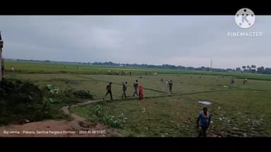 बसंतराय: बसंतराय पकड़िया मोड़ पर पुलिस ने अवैध शराब विक्रेताओं और शराबियों को खदेड़ा