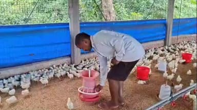 लावालौंग: ससुराल की प्रेरणा से दशरथ साव का कमाल: लमटा गांव की मिट्टी से नेपाल तक सब्जियों का व्यापार