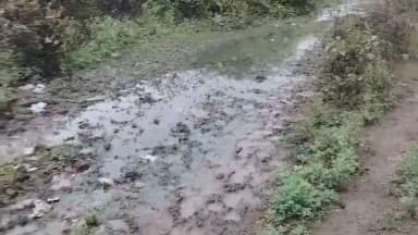 ગારિયાધાર: ગણેશગઢ ગામે લાંબા સમયથી ગટર ઉભરાઈ રહી હોય સ્થાનિકોમાં રોષ