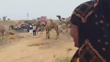 पुष्कर: नागिन जैसी आंखों वाली मोनालिसा पुष्कर में माला बेच रही है, लोग खींच रहे हैं फोटो और वीडियो