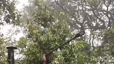 গলসি ২: গলসি এলাকায় নিম্নচাপের প্রভাবে বৃহস্পতিবার সকাল থেকেই বেশিরভাগ জায়গায় হালকা থেকে মাঝারি বৃষ্টিপাত ঘটে