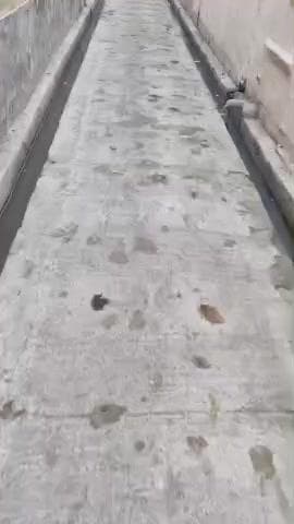 @news_live @komal Raghav
tibra road bhag colony gali no 2 shiv mandir ke piche
modiModi nagar help kre is