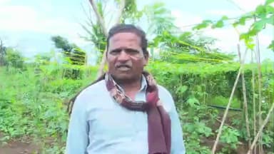 કવાંટ: પ્રાકૃતિક કૃષિની શરૂઆત જામ્બા ગામના રમેશભાઈ રાઠવાએ શરૂઆત કરી, જુઓ શું કહ્યું? તેઓએ?